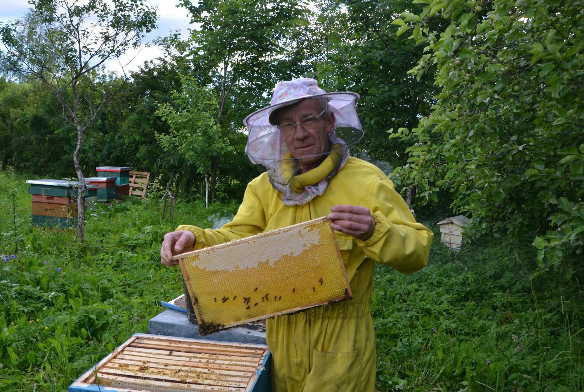 Мёд в сотах, 130 г. Северное лесное разнотравье. Урожай 2022 года. Сотовый мед Пасека Иноземцевых - фотография № 5