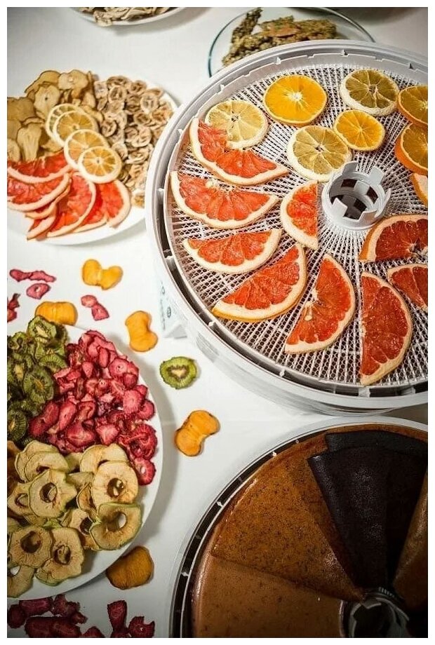 Сушилка (дегидратор) для овощей, фруктов, мяса, рыбы Ezidri Snackmaker FD500 DIGITAL (10 поддонов, 5 сеток и 5 листов для пастилы) - фотография № 14