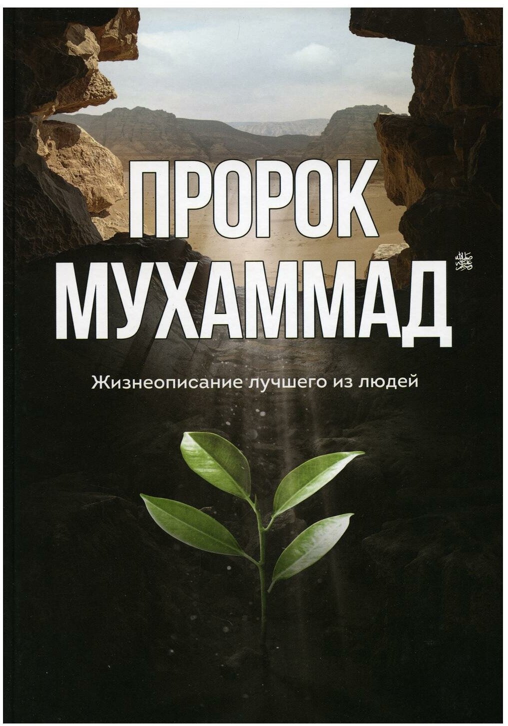 Ильдар Аляутдинов: Пророк Мухаммад. Жизнеописание лучшего из людей