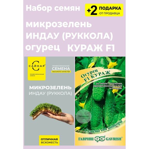 Семена микрозелень Индау (Руккола), 5 гр. + семена огурца "Кураж F1", 10 сем. + 2 Подарка