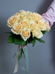 Розы кремовые 21 штука, "Пич Аваланж"40 см под ленту Россия(большой бутон)