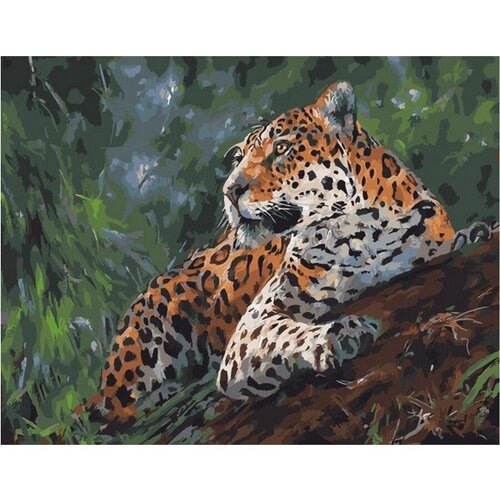 Картина по номерам Бдительный леопард 40х50 см Hobby Home