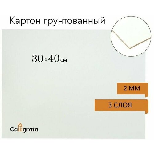 Картон грунтованный акрил 30 х 40 cм, 2 мм, 5 шт.