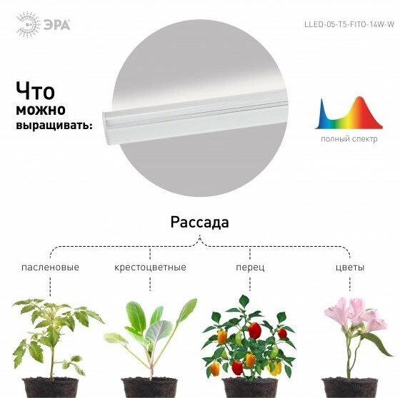 ЭРА Светильник для растений LLED-05-T5-FITO-14W-W