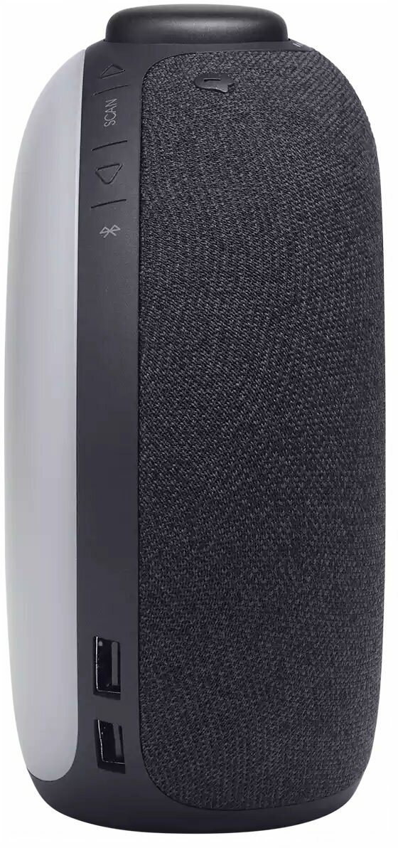 Акустическая система JBL 2 FM (Black) - фото №9