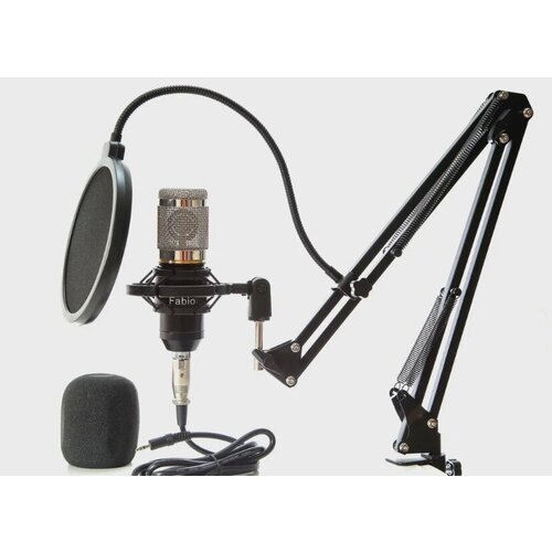 Микрофон студийный комплект 333300₽