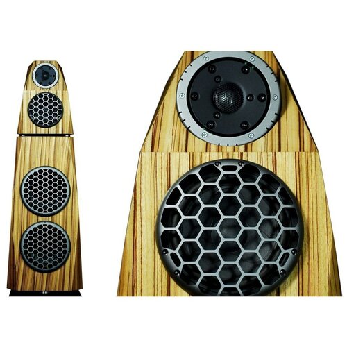 Напольная акустика Divini Audio RASA 284000000₽