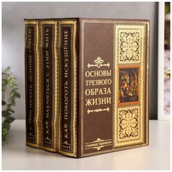 Сейф-книга многотомник "Основы трезвого образа жизни" 25х19х16,5 см