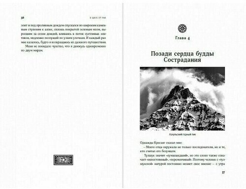 В шаге от рая: Правдивая история путешествия тибетского ламы в Страну Бессмертия - фото №6