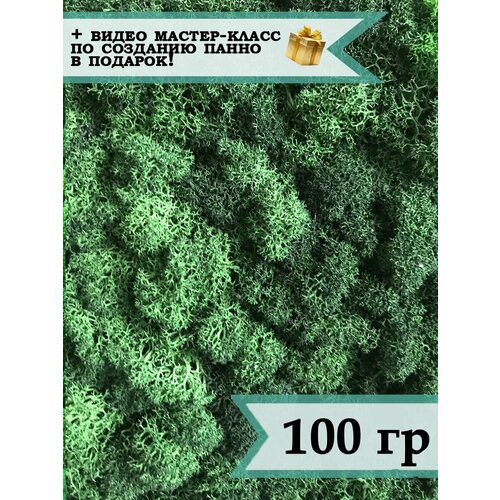 Стабилизированный мох ягель 100 гр темно-зеленый / лесной мох для декора, озеленения и дизайна / растение для поделок сделай сам из природных материалов