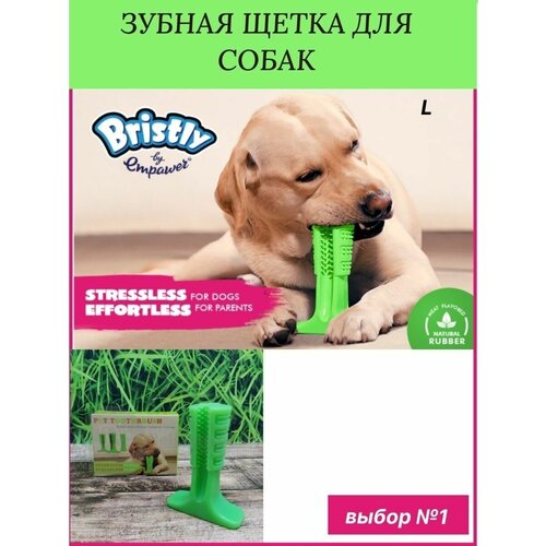 Игрушка для собак Зубная щетка для животных зубочистка