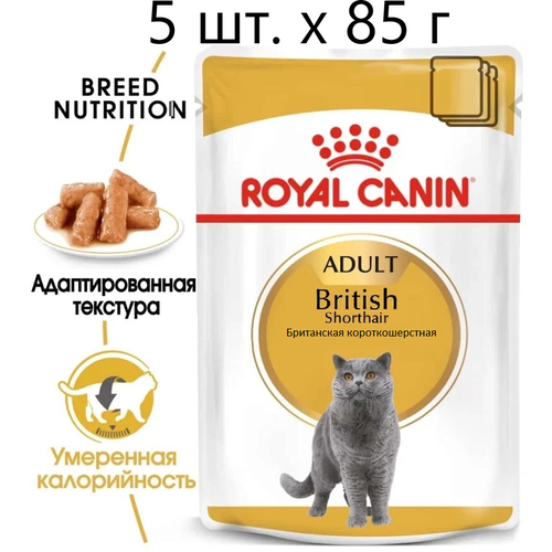 Влажный корм для кошек Royal Canin British Shorthair Adult, для взрослых кошек породы британская короткошерстная, 5 шт. х 85 г (кусочки в соусе)