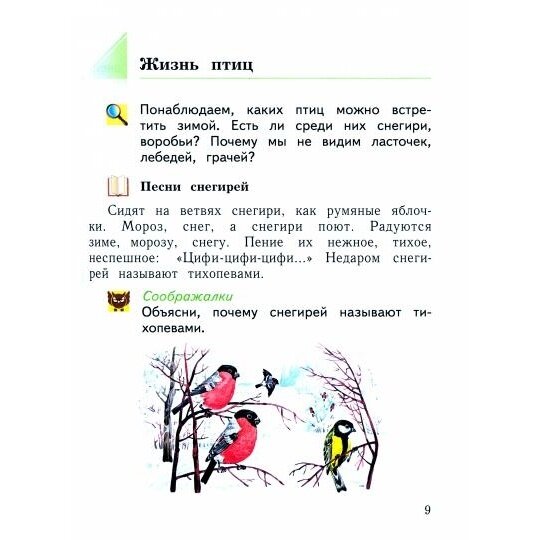 Окружающий мир. 1 класс. Учебное пособие. В 2-х частях. ФГОС - фото №12