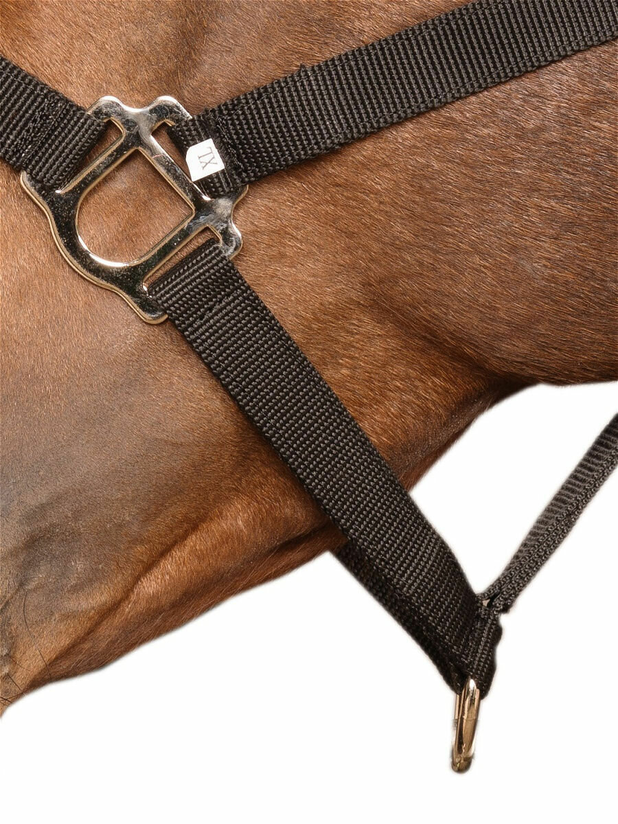 Sweethorse / Недоуздок для лошади и пони FULL - фотография № 4