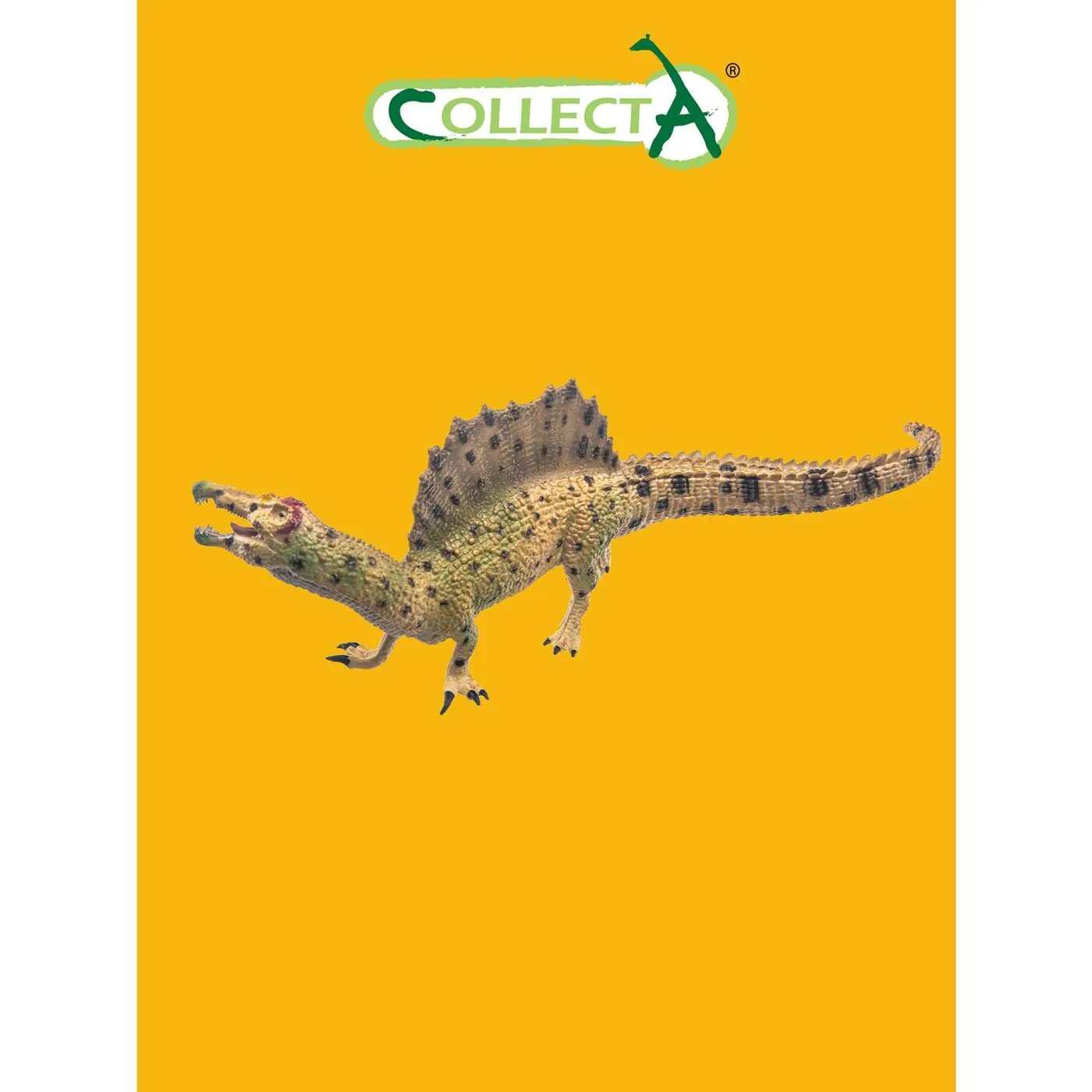 Collecta - фото №9