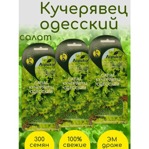 Салат Кучерявец одесский семена ЭМ драже 3 упаковки