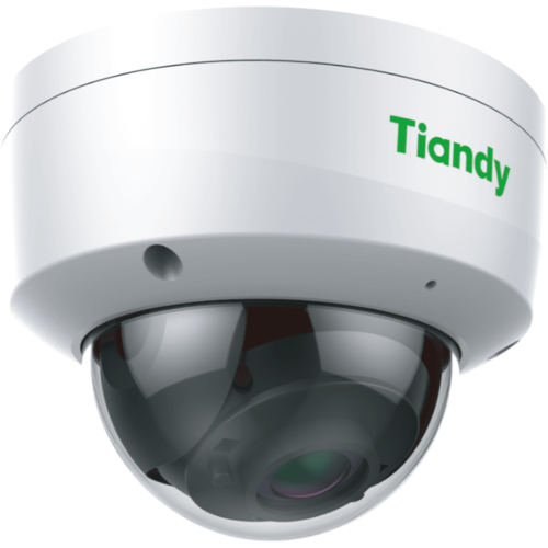 IP камера Tiandy Dome TC-NC552S 865000₽
