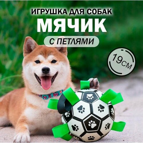 Мяч для собак, для собак мелких пород, средних пород, мяч с захватами, 19см, белый