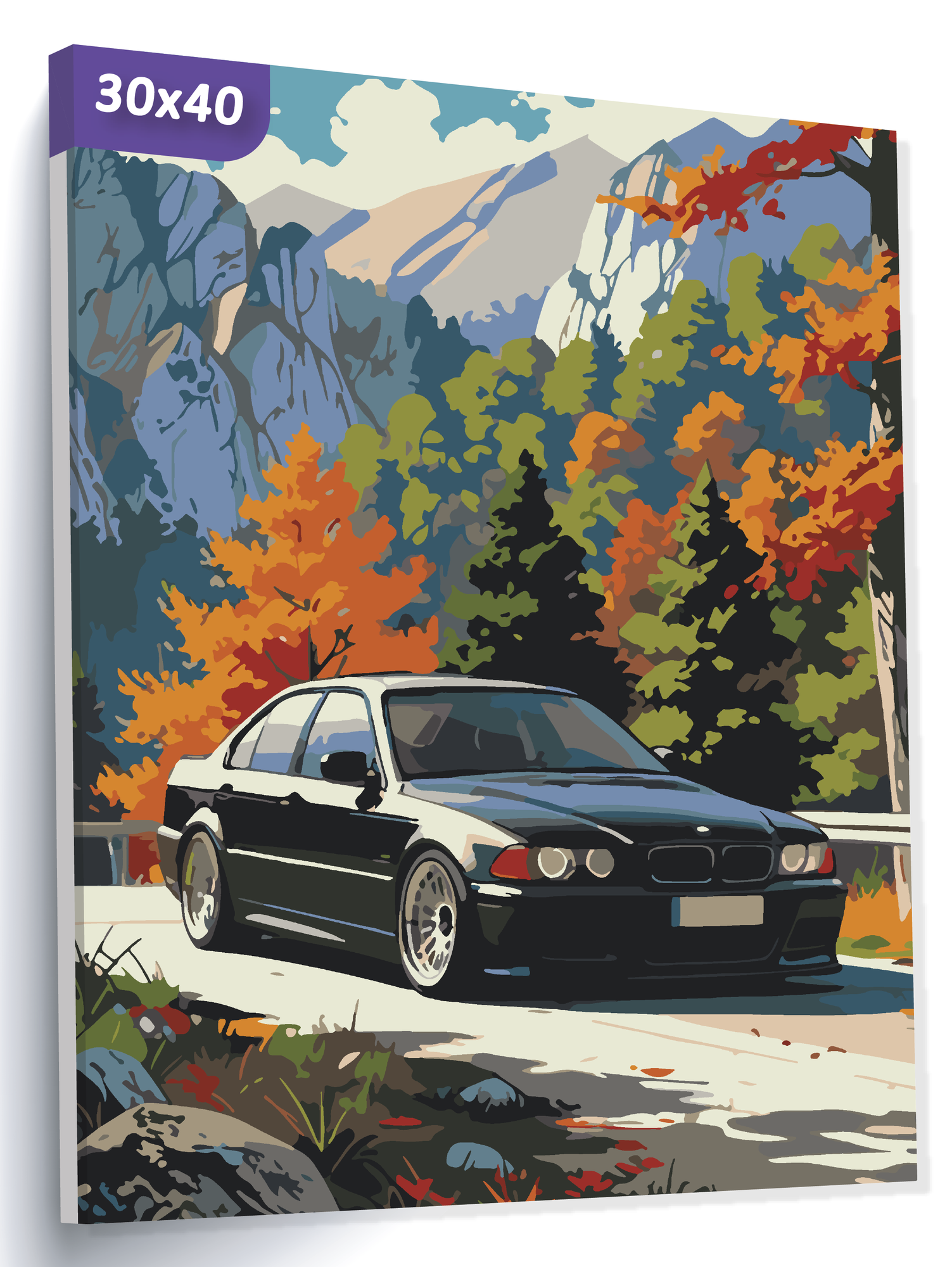 Картина по номерам "BMW E39 №1", Холст на подрамнике 30х40