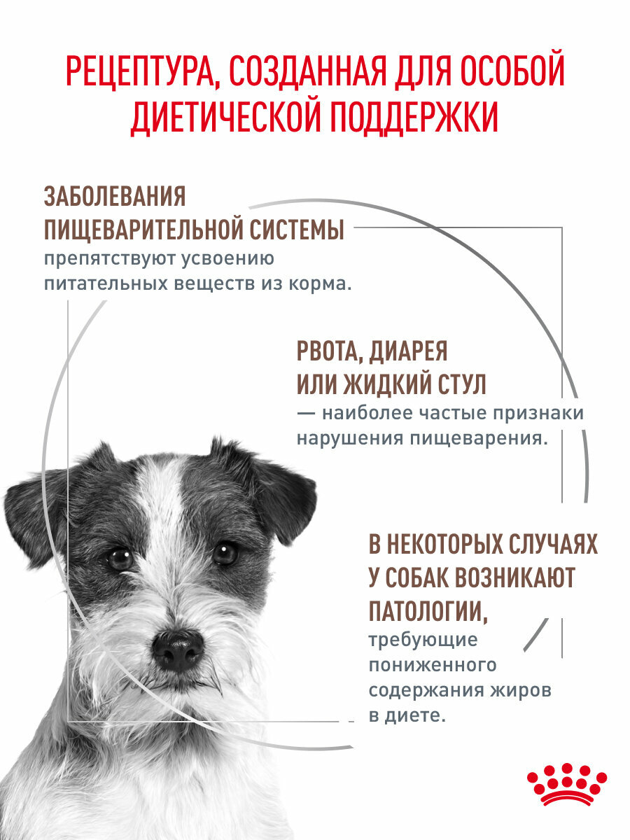Сухой корм для собак Royal Canin Gastrointestinal Low Fat для мелких пород при склонности к избыточному весу, 3 кг — фото 1