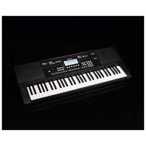 Синтезатор 61 клавиша Medeli 10310₽
