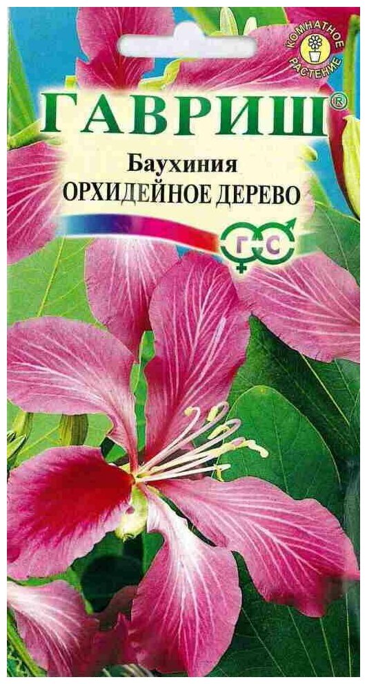 Баухиния Орхидейное дерево Мн. Комн. Цв.П (гавриш) 3шт. Количество уп 10 шт.