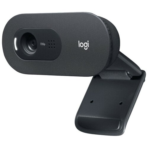 фото Веб-камера logitech webcam c505e (960-001372)