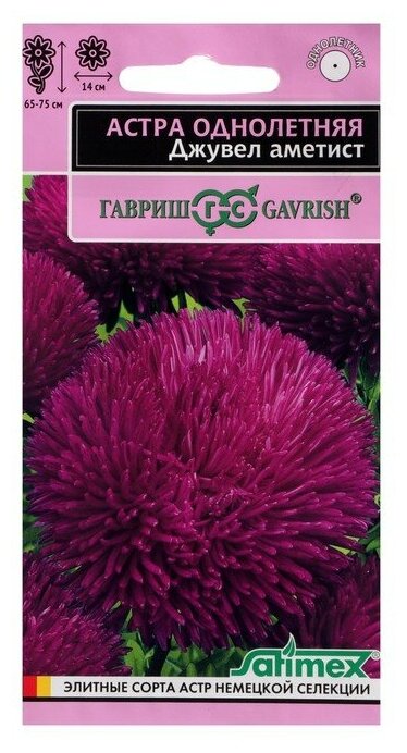 Семена цветов Астра игольчато-коготковая 'Джувел Аметист' однолетняя 01 г