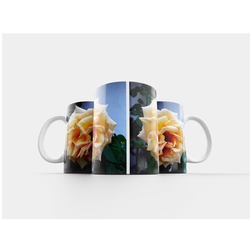 фото Кружка "роза, плетистая роза, цвести" 320 мл lotsprints