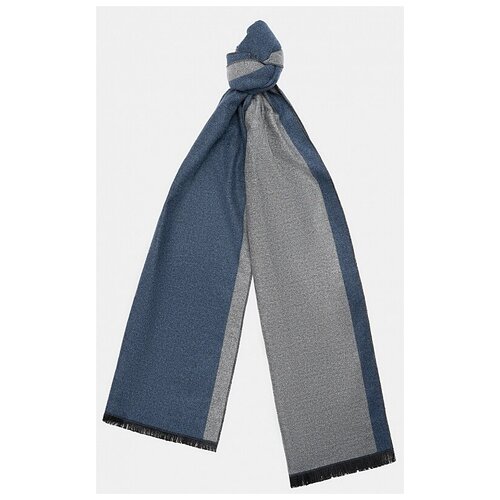 фото Шарф мужской синий ralf ringer