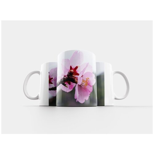 фото Кружка "миндальное дерево, цветы миндаля, цветочно филиал" 320 мл lotsprints