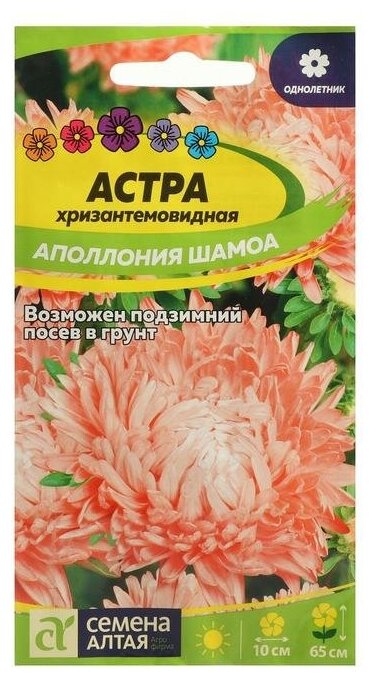 Тент для бассейна 259 см, Bestway, 58105 - фотография № 20