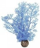 Синий морской веер, малый, Sea fan small blue