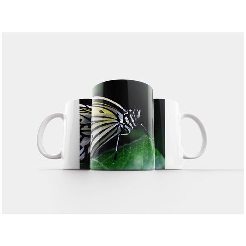 фото Кружка "нимфа белого дерева, idea leukonoe, бабочка" 320 мл lotsprints