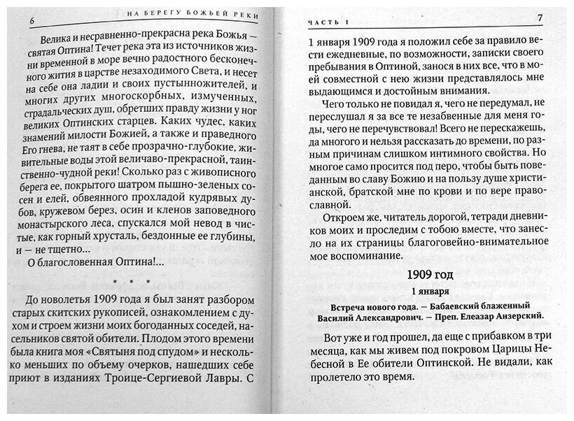 На берегу Божьей реки (Нилус Сергей Александрович) - фото №12