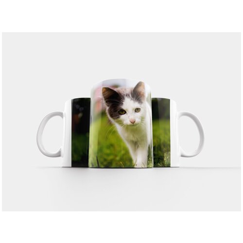 фото Кружка "кот, лето, деревня" 320 мл lotsprints