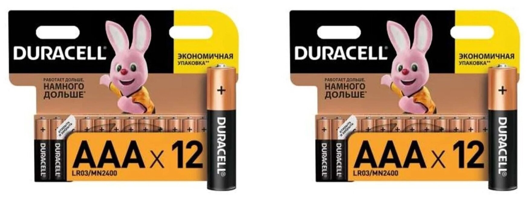 Батарейка Duracell Basic AAA, 2 уп., в упаковке: 12 шт.