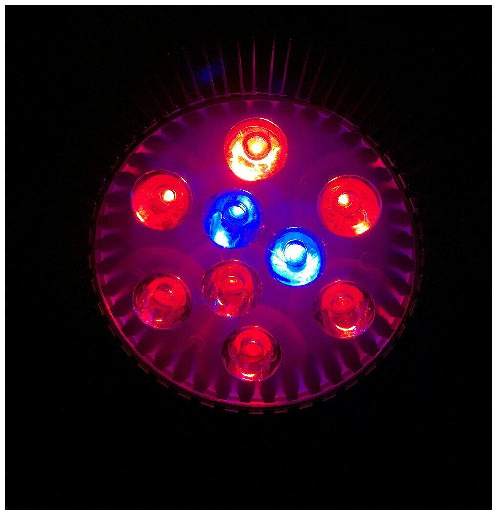 Светильник на присоске с выключателем и фитолампой 10 Вт - фотография № 6