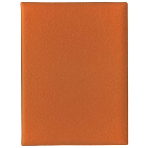 Папка с файлами Стрекоза, A4+, 1685, оранжевый папка файл на резинке фрукты а4
