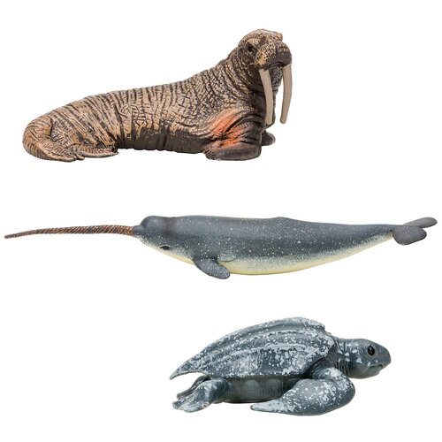Фигурки Masai Mara Нарвал, кожистая черепаха, морж (ММ203-004)