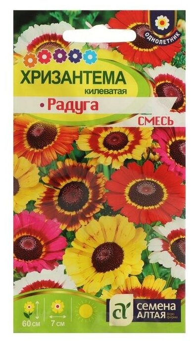 Семена цветов Хризантема 