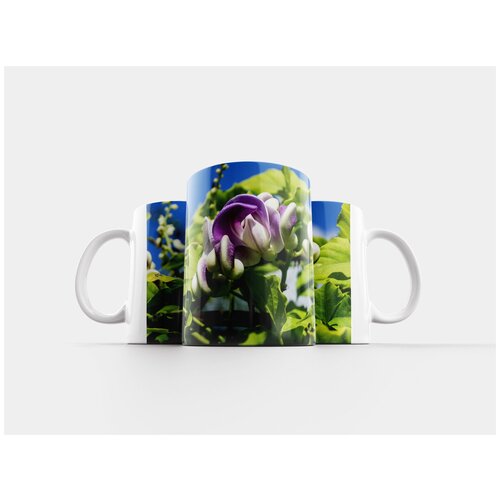 фото Кружка "улитки боб, цвести, макрос" 320 мл lotsprints