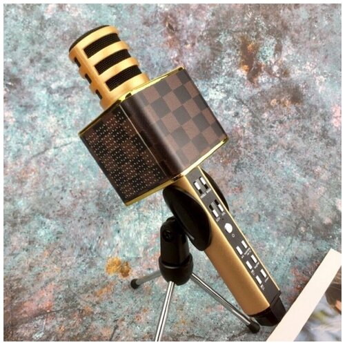 Портативная Колонка-Микрофон Magic Karaoke SDRD SD-18 Bluetooth USB TF AUX 249000₽