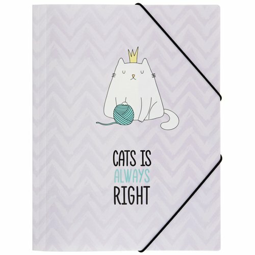Папка на резинке Meshu Right cat, А4, 500мкм