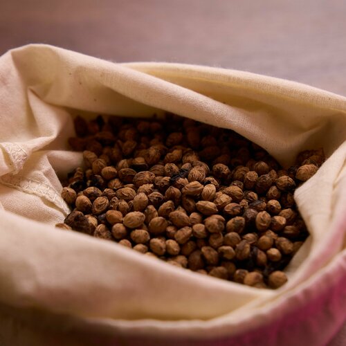 Семена декоративной Черемухи пурпуролистной, морозостойкой, 5 грамм (примерно 50 шт)