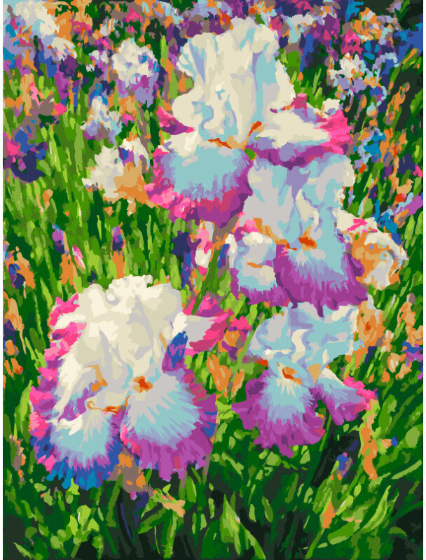 Картина по номерам Белоснежка «Кружевной ирис» (40х30 см, Холст на подрамнике)