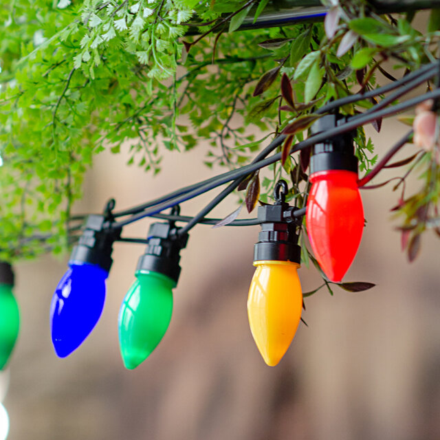 фото Winter Deco Гирлянда из лампочек Festival Party Lights 10 м, 20 ламп, разноцветные LED, черный ПВХ, соединяемая, контроллер ECO-020F-C9-BM