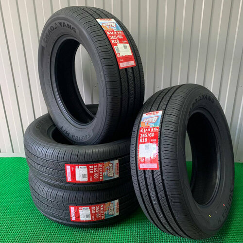 Chaoyang SU318a 26560 R18 110H 8561₽