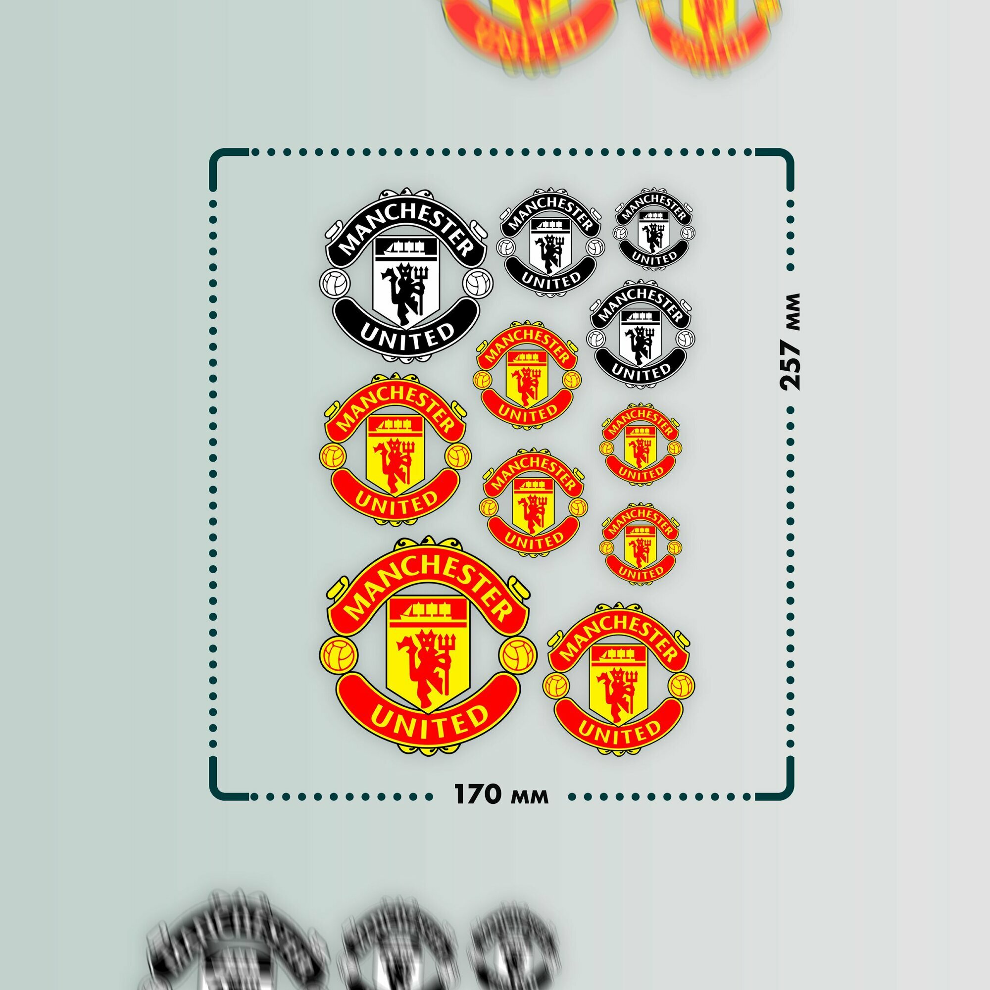 Термонаклейка на одежду Манчестер Юнайтед — фото 1