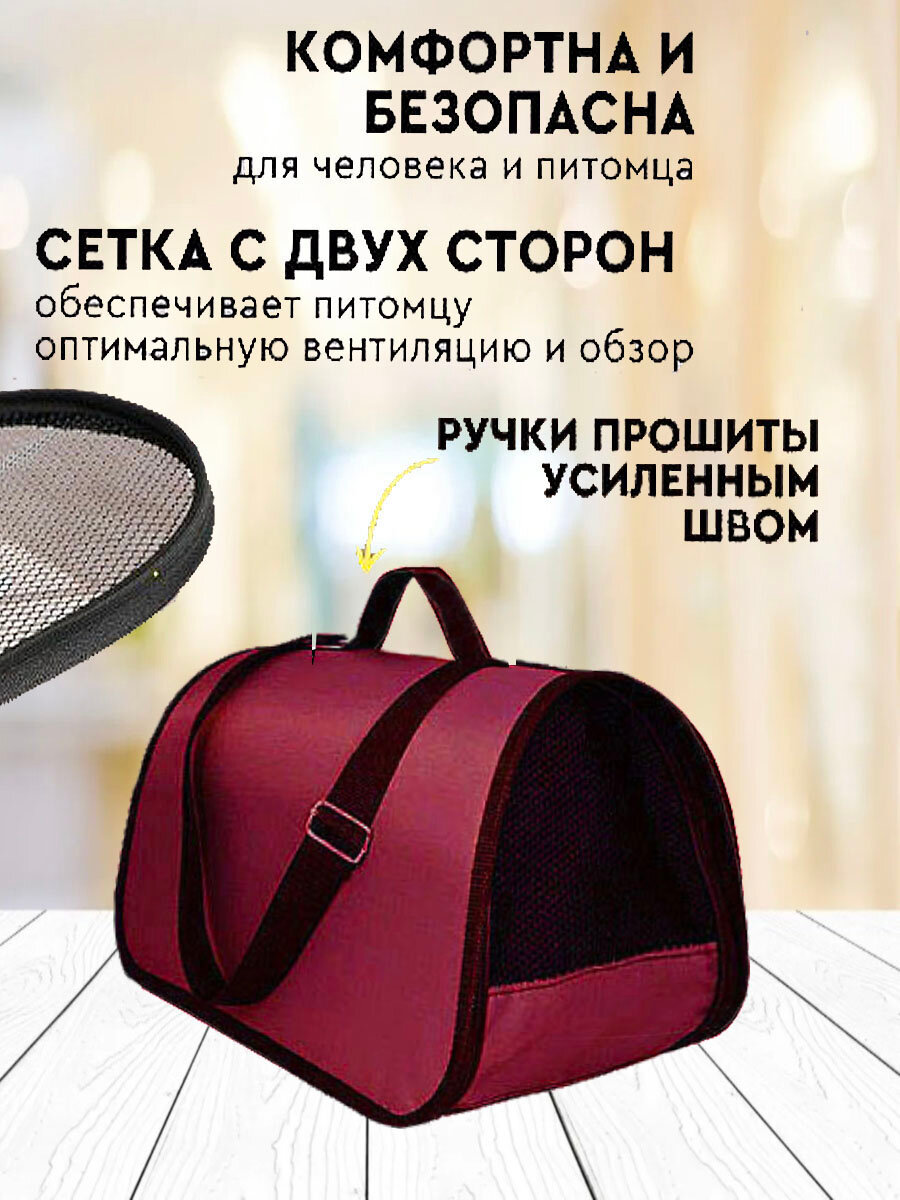 Переноска для кошек М до 12 кг XL ZOLO, домик для кошки, 45х26х26 см, авиапереноска — фото 1